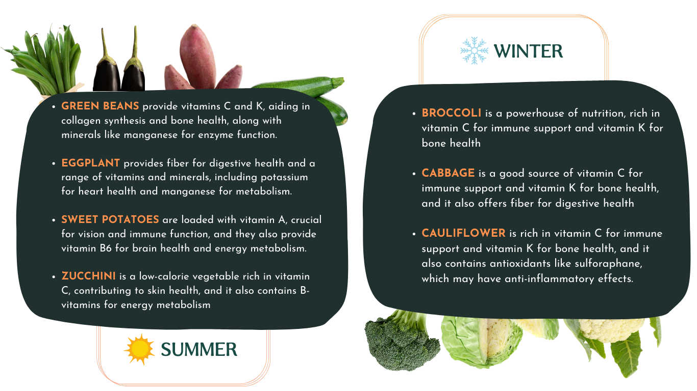 seasonal eating for pet - summer and winter