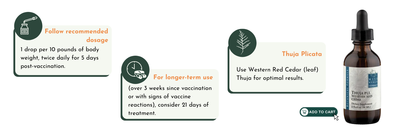 thuja plicata for detoxificcation