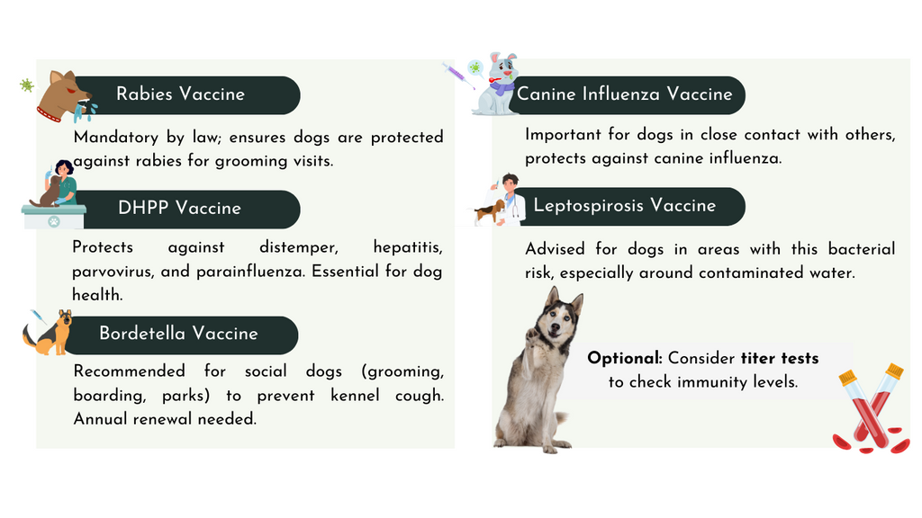 Vaccines Needed for Dog Grooming