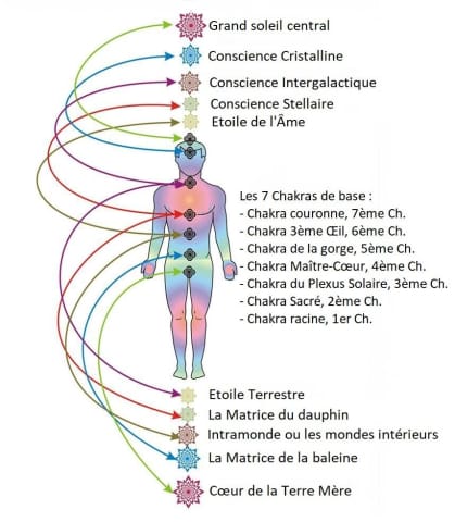 Bâton de massage rainuré en Sélénite blanche du Maroc Grade A ++++ P-M