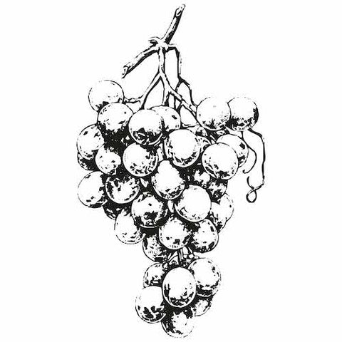black and white illustration of grapeseed oil