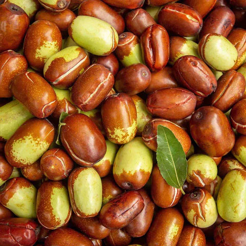 Pile of Jojoba Nuts
