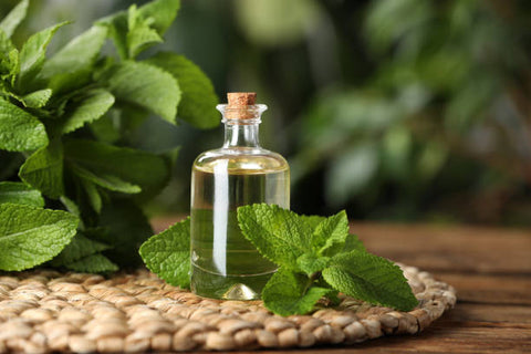 Small clear vial of peppermint oil next to some peppermint sprigs, all sat on a wicker mat