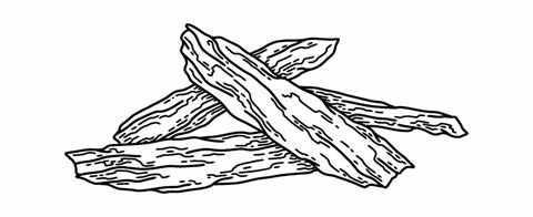 Black and white illustration of sandalwood