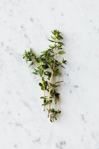 Tied bundle of thyme