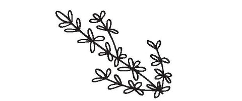 Black and white illustration of thyme