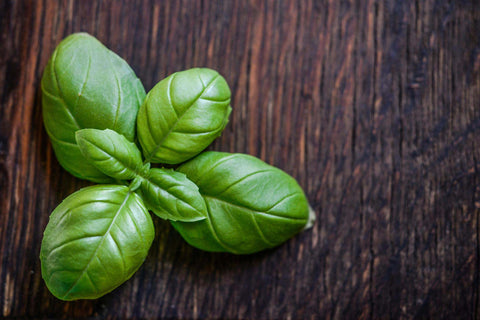 Basil sprig on a wooden top