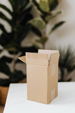 Small box on table with plant in the background