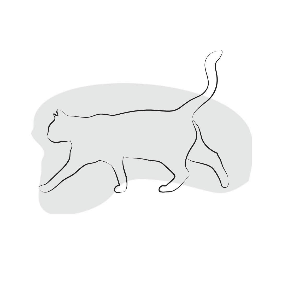 Cat Icon.