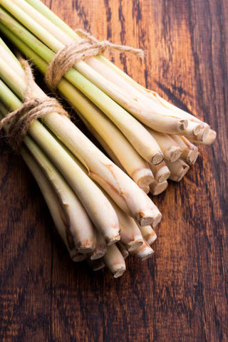 close up of citronella stalks