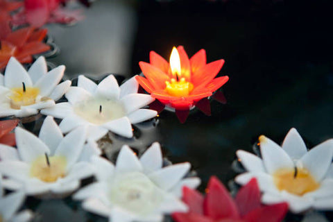 Flower shaped floating candles