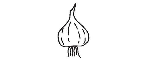 Black and white illustration of a garlic bulb