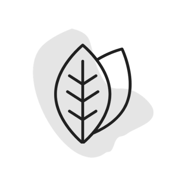 Leaf Icon