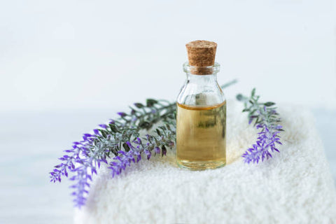 Small vial of lavender oil placed next to lavender sprigs