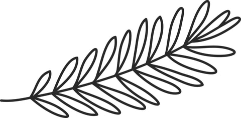 Black and white illustration of a leaf