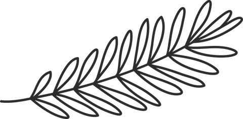 Black and white illustration of a leaf sprig