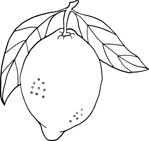 Black and white illustration of a lemon