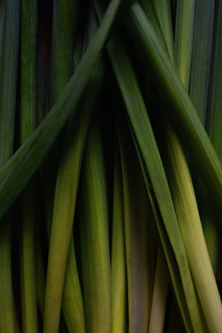 Lemongrass stalks