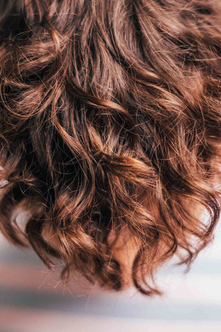 Back of the head of someone with curly hair