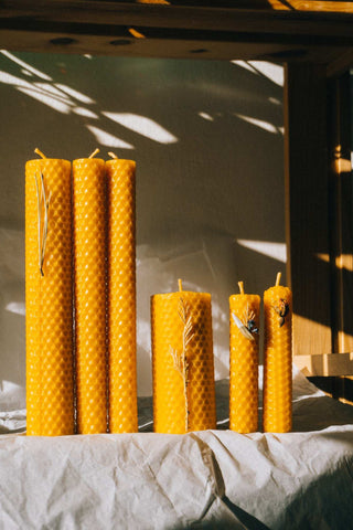 Row of tall beeswax candles in the sunlight
