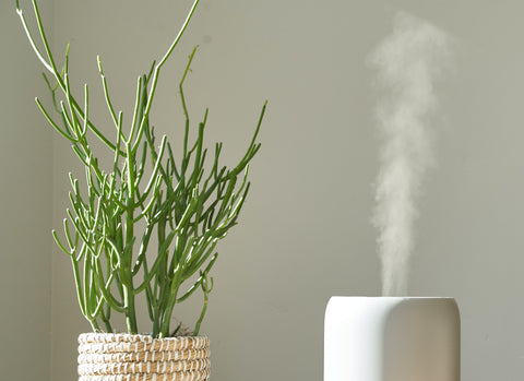 Can You Put Essential Oils in a Humidifier (No Don't) : r/HVACtips