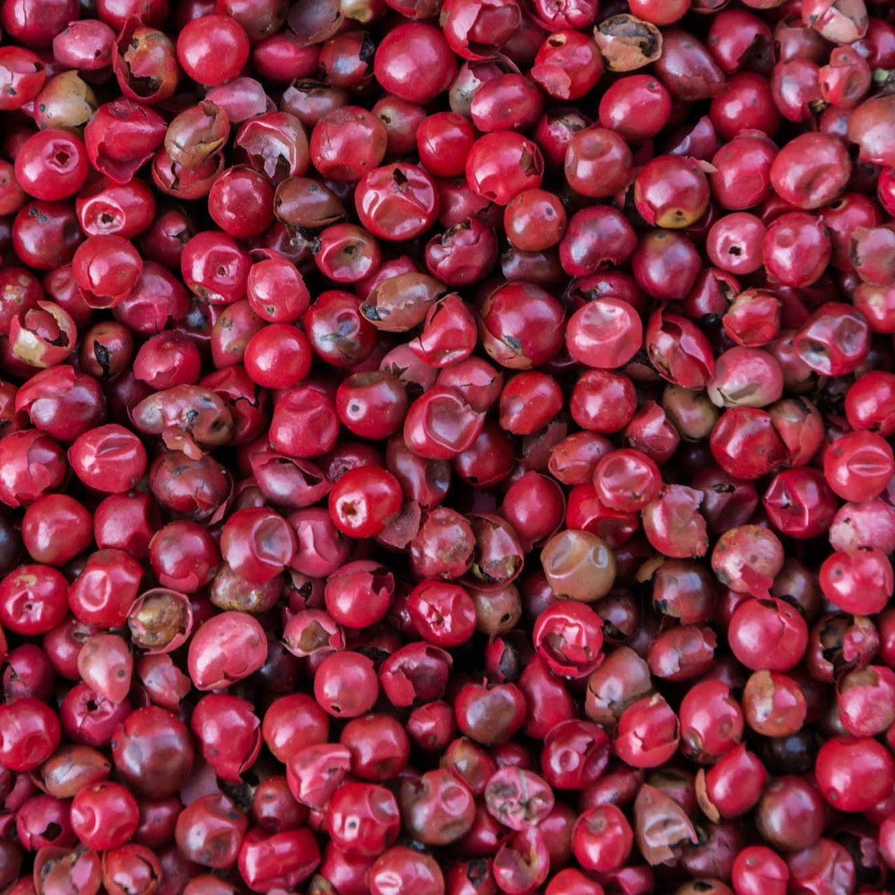 Many Pink Peppercorns