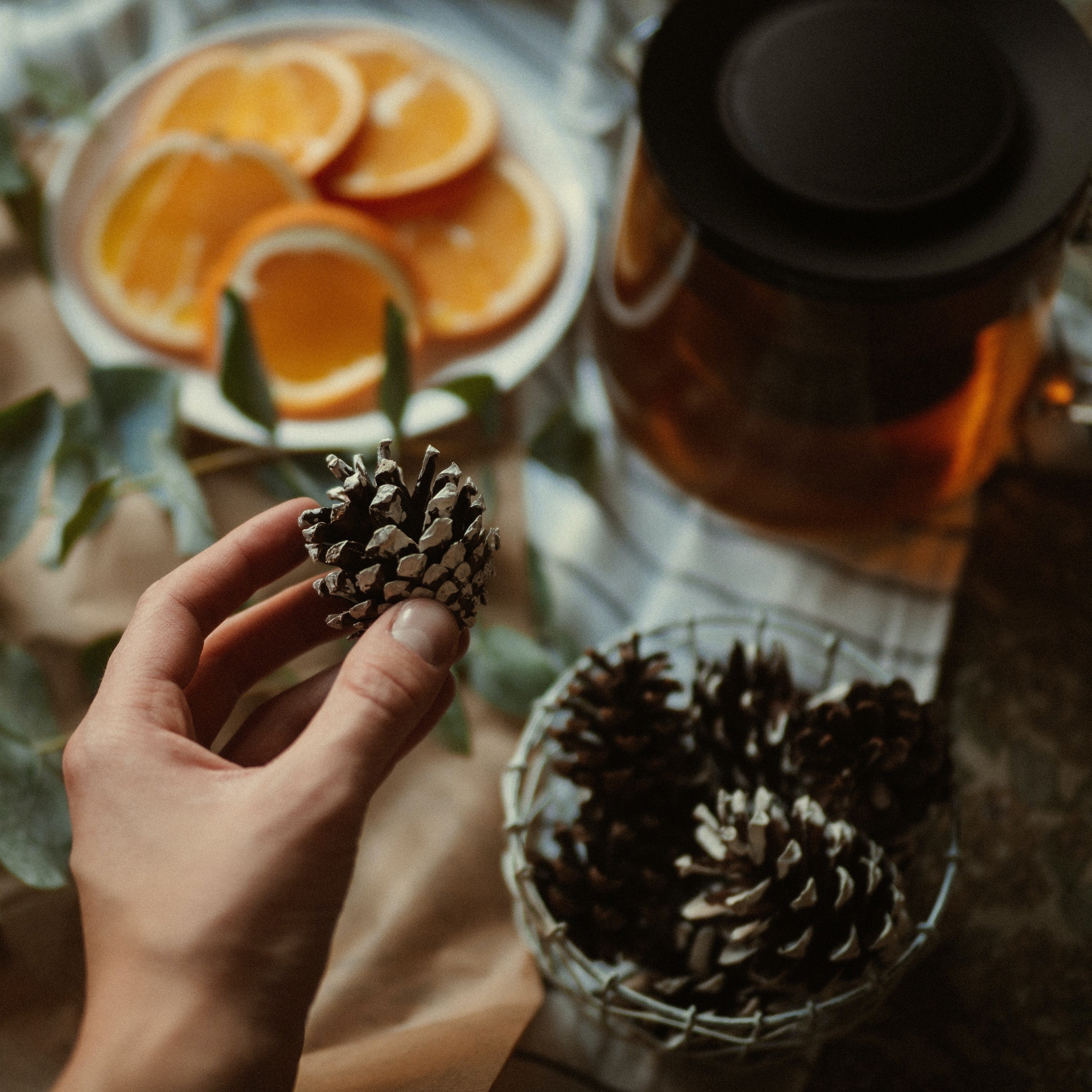 Close up as person holding a pine cone with a bowl of pine cones and a bowl of orange slices on a table below