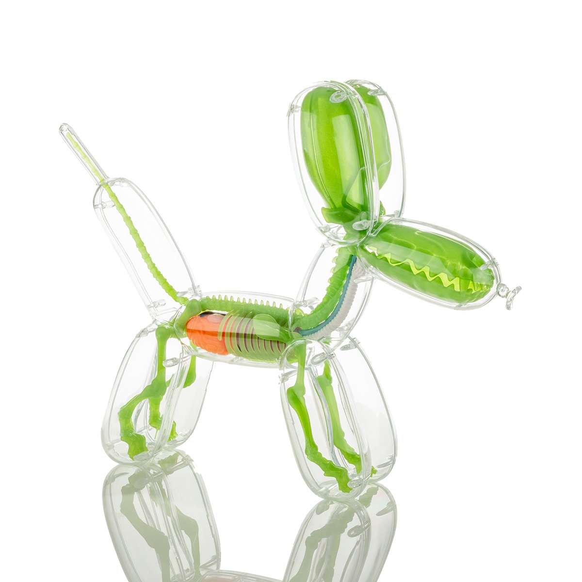 balloon dog anatomy by jason freeny