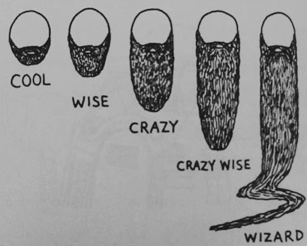 wizard_beard_grande.jpg