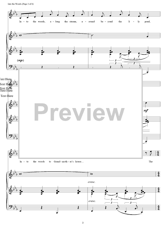 Into The Woods Sheet Music For Pianovocal Sheet Music Now 