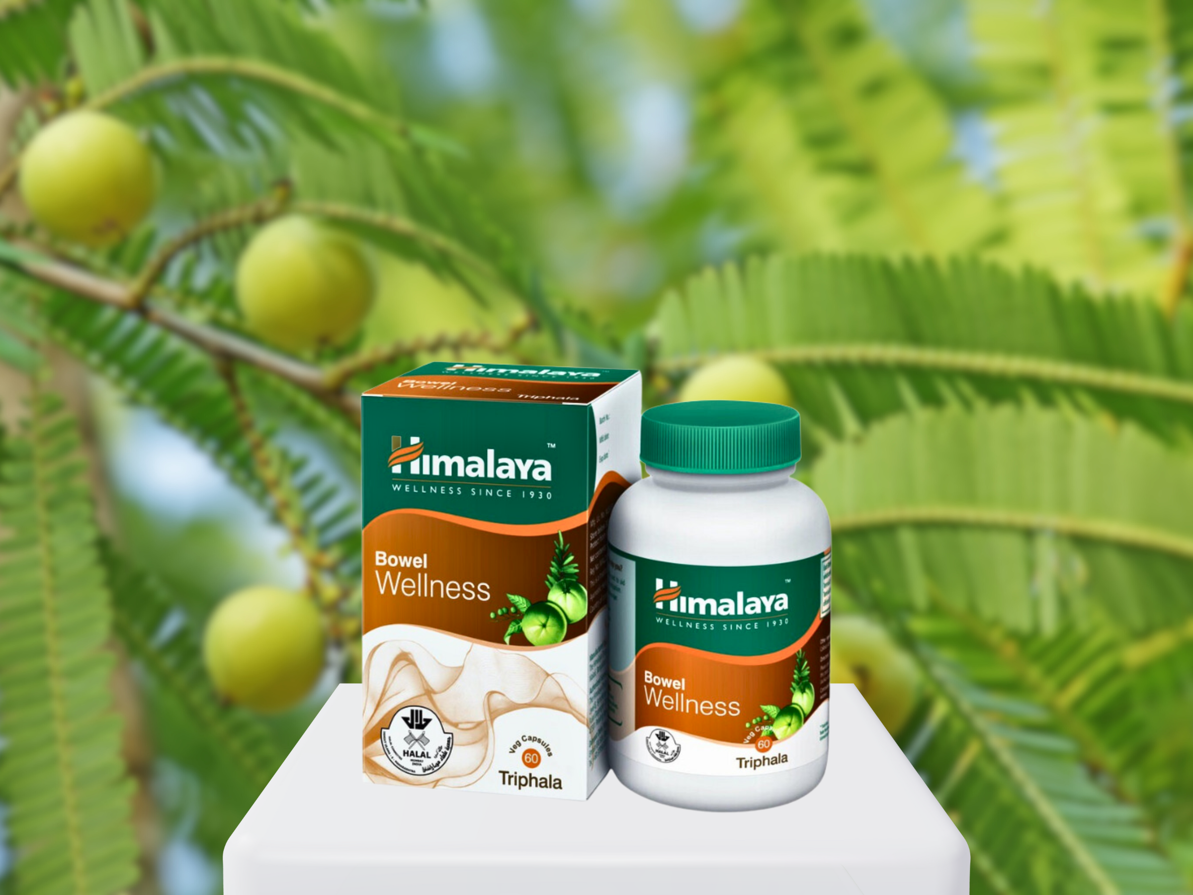 Himalaya Bowel Wellness placed on a product display stand, with Indian Gooseberry tree (or Amalaki tree) in the background