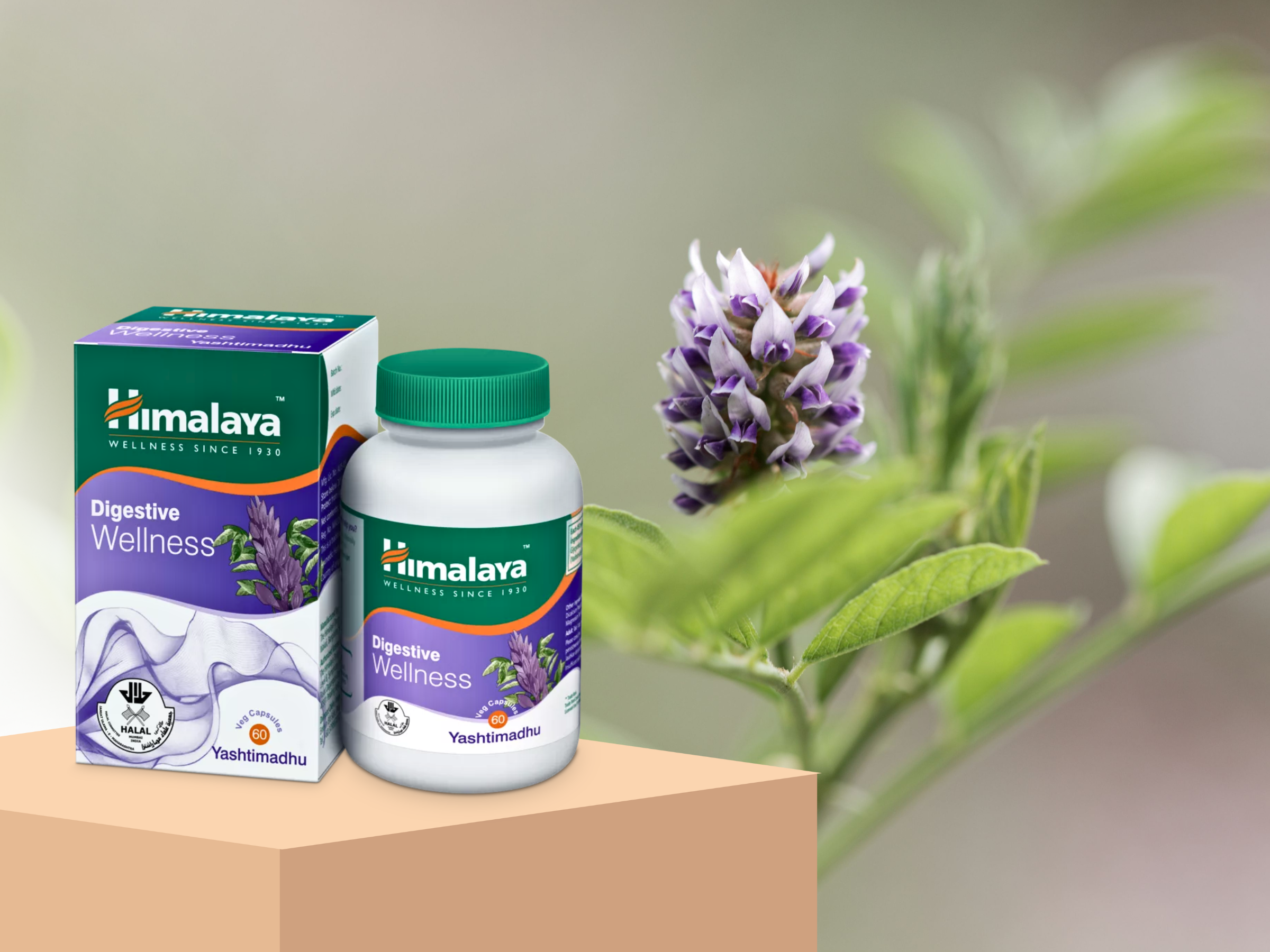 Himalaya Digestive Wellness on product display stand at bottom left, with licorice plant (key ingredient in the product) in the background