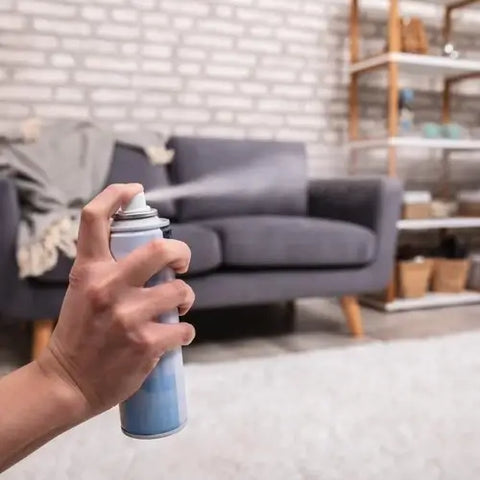 How to Get Dirty Bong Water Smell Out of Carpet