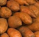 sweet potatoes for anti-aging
