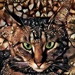 #1 DIY Diamond Art Painting Kit - Jewel The Pretty Kitty | Diamond Painting Kit | Diamond Art Kits for Adults | Diamond Art Club