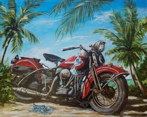 Men On Motorcycle By Lake Diamond Painting 