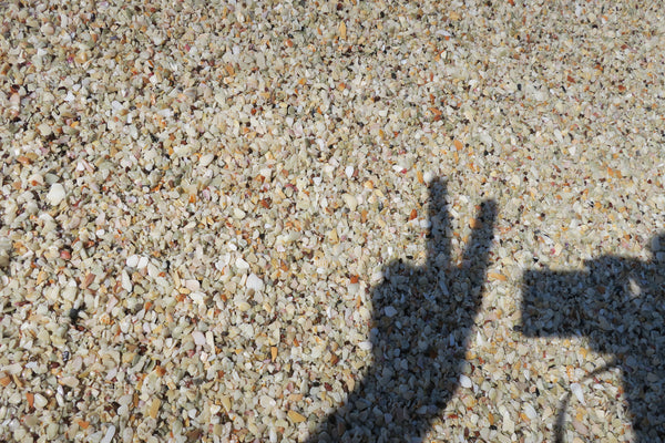 sadow of a peace and love gesture cast on beach rocks.