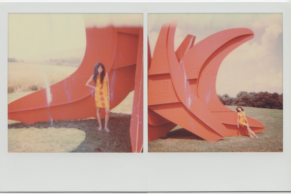 polaroid diptych of aisha gunnell in front of alexander calder statue.