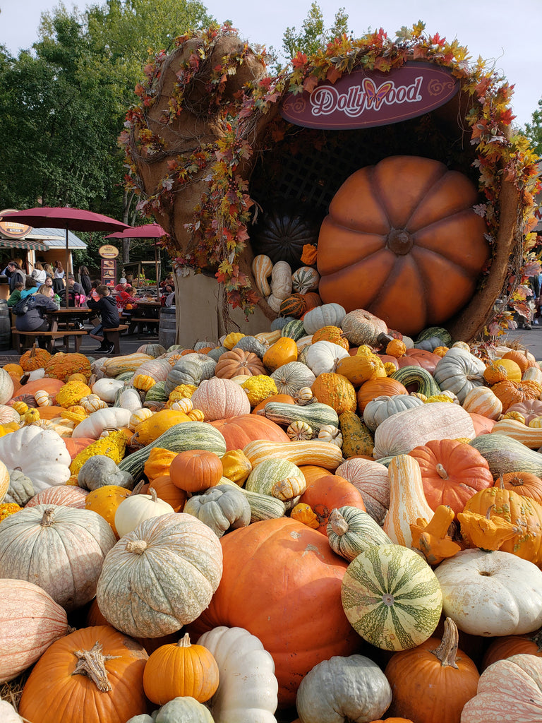multiple pumpkins exposed at dollywood.