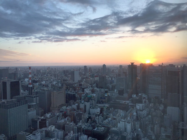 top view of a city with sunset.