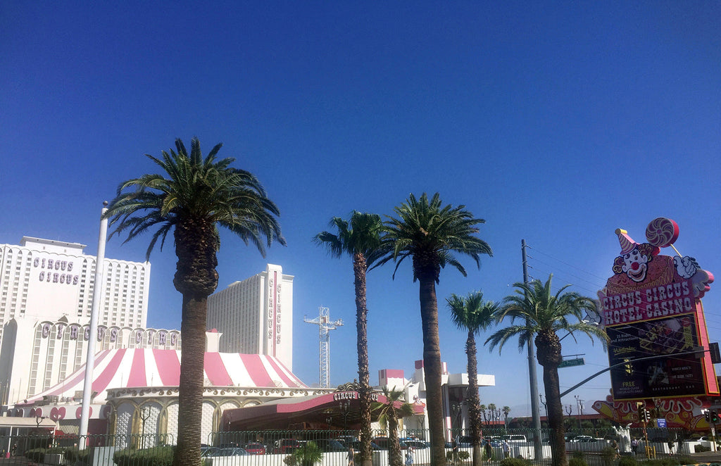 circus circus on a street in las vegas with palm trees.