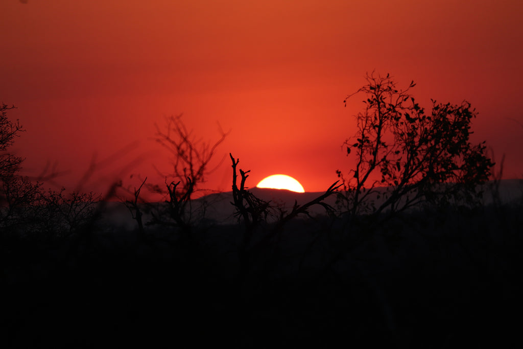 vibrant orange sunset.