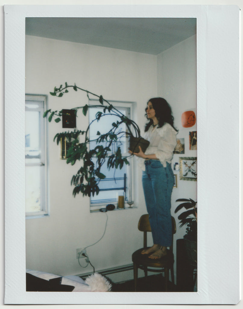 chelsea standing on a chair holding a potted plant.