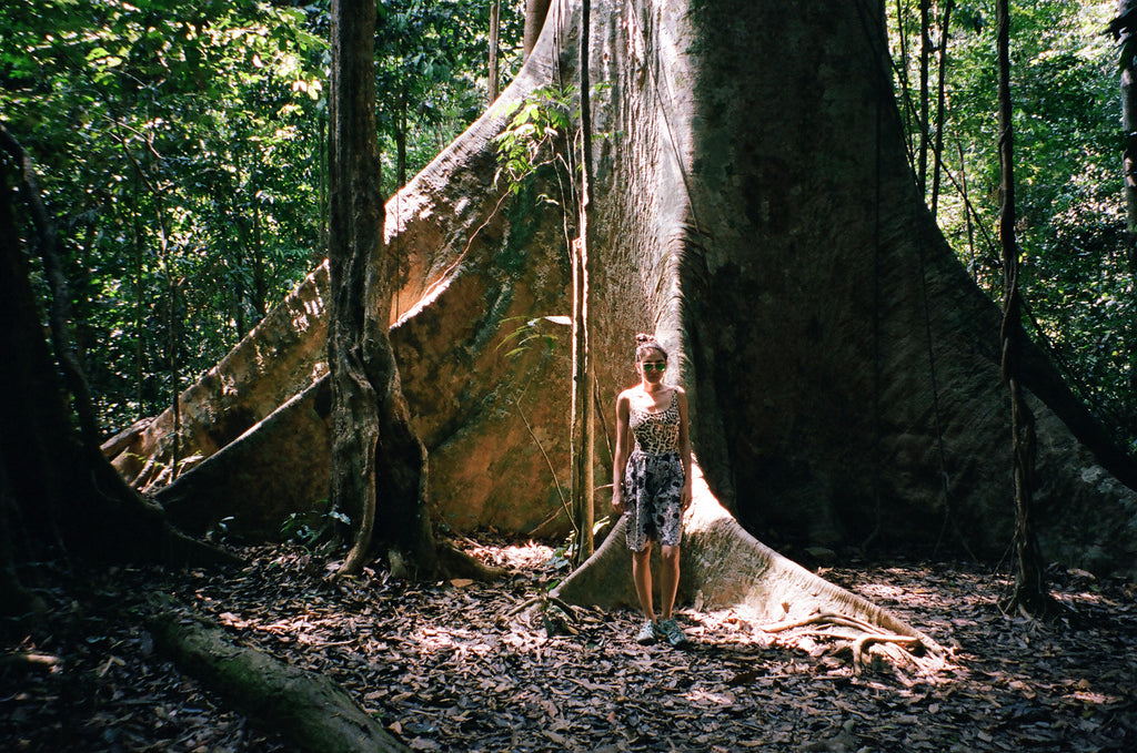 person posing in front of a tualang tree buttress. 
