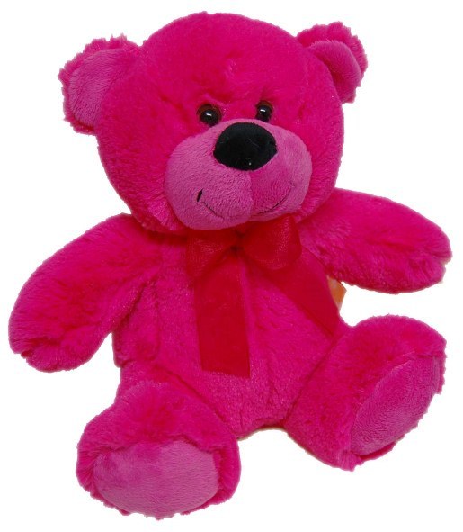 bright pink teddy bear