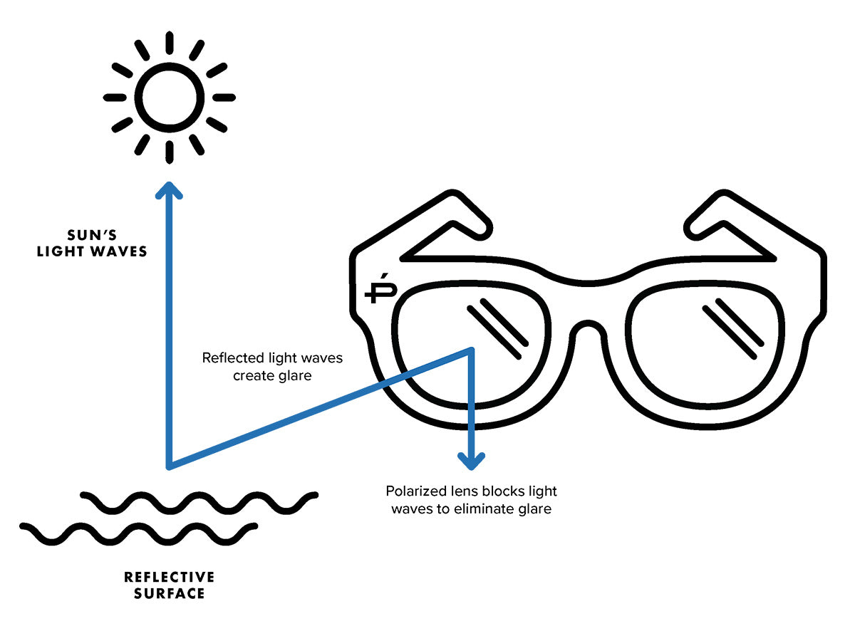 Details 173+ normal sunglasses vs polarized super hot