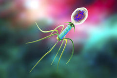 Floraphage: Phages, also called bacteriophages, invade a specific type of bacteria, inject their genetic material into it and kill it by exploding it into many pieces.