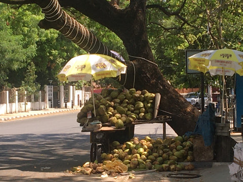 Coconut vendor lockdown life