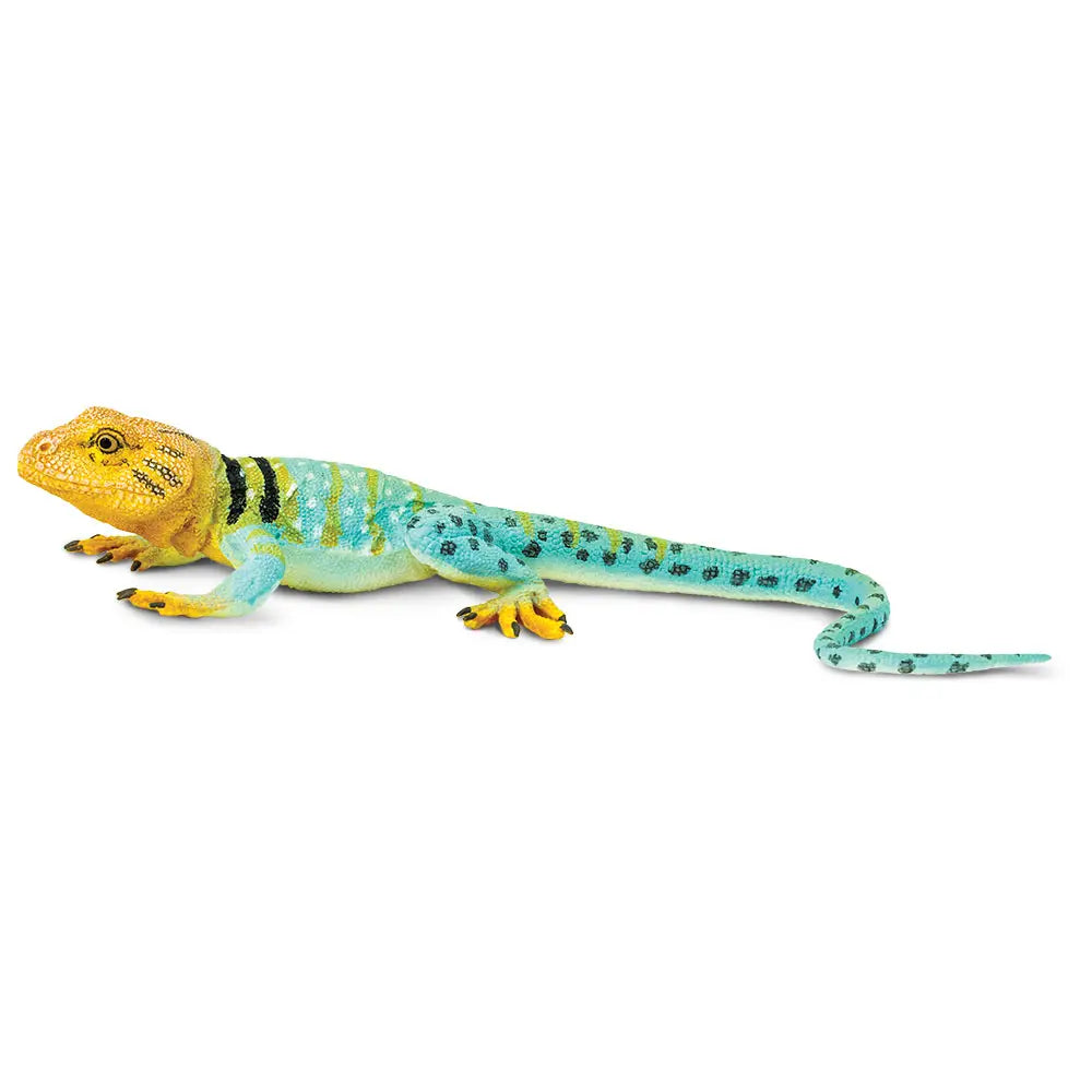 Safari Ltd. - Collared Lizard