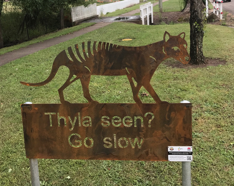 Benjamin the Thylacine or Tasmanian Tiger